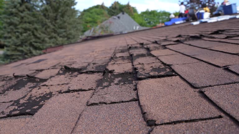 Best Rubber Roofing (EPDM, TPO)  in Owosso, MI