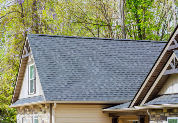 Best Gutter Installation and Repair  in Owosso, MI