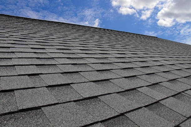 Best Roof Insulation Installation  in Owosso, MI